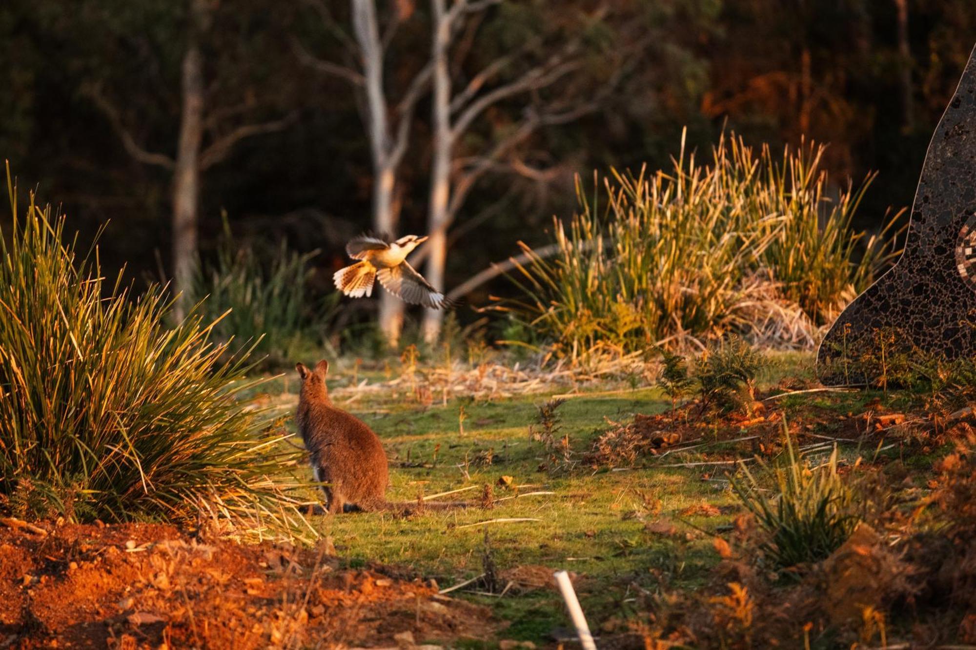 Freycinet Resort Коулс-Бей Экстерьер фото